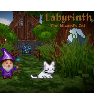 Labyrinth: The Wizard s Cat Steam Key GLOBAL